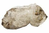 Lustrous Smoky Elestial Quartz - Brazil #238120-1